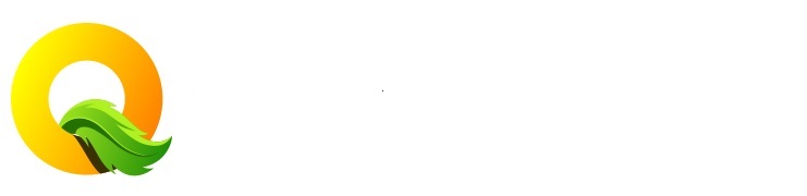mt4