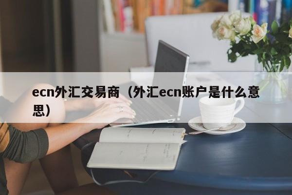 ecn外汇交易商（外汇ecn账户是什么意思）
