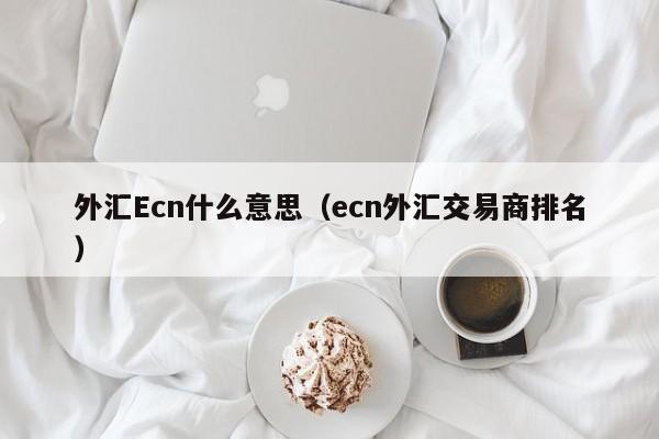 外汇Ecn什么意思（ecn外汇交易商排名）