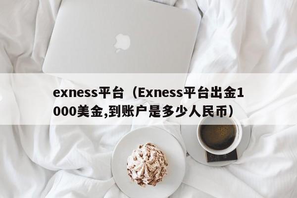 exness平台（Exness平台出金1000美金,到账户是多少人民币）