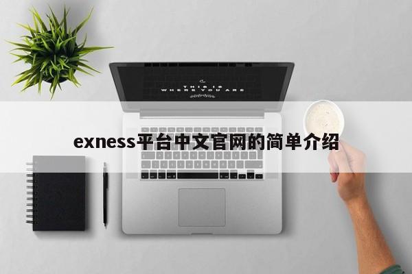 exness平台中文官网的简单介绍