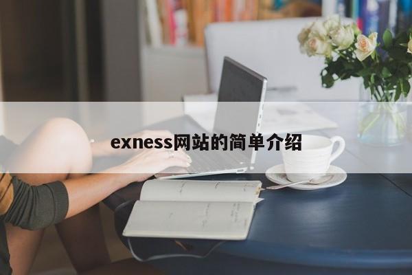 exness网站的简单介绍