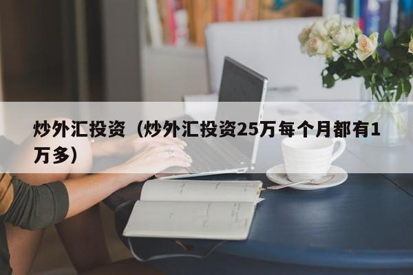 炒外汇投资（炒外汇投资25万每个月都有1万多）