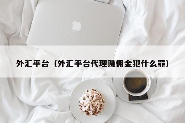 外汇平台（外汇平台代理赚佣金犯什么罪）