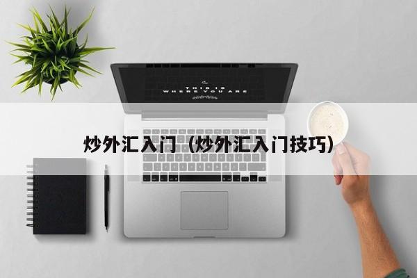 炒外汇入门（炒外汇入门技巧）
