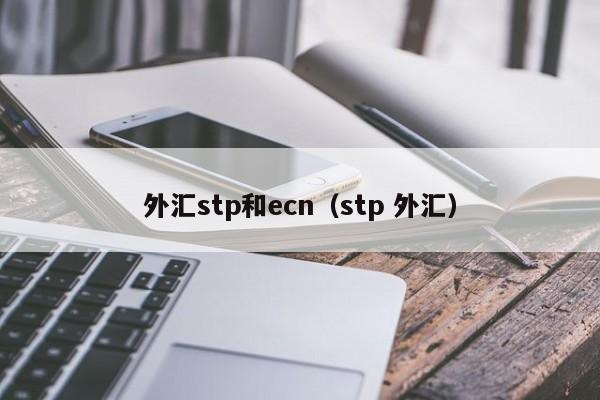 外汇stp和ecn（stp 外汇）