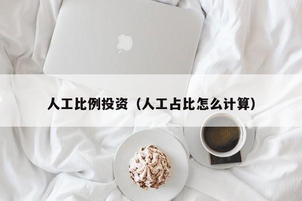 人工比例投资（人工占比怎么计算）