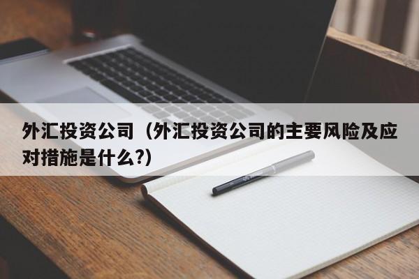 外汇投资公司（外汇投资公司的主要风险及应对措施是什么?）