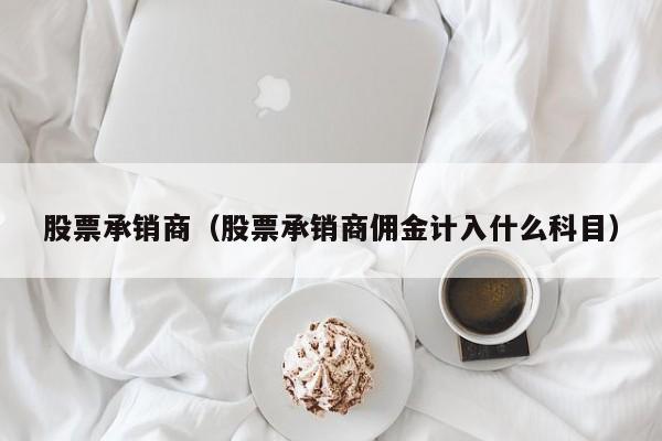 股票承销商（股票承销商佣金计入什么科目）