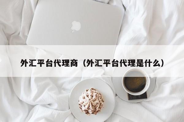 外汇平台代理商（外汇平台代理是什么）