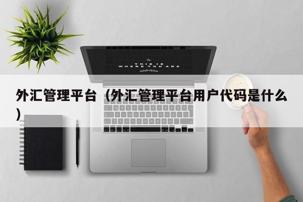 外汇管理平台（外汇管理平台用户代码是什么）