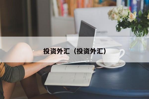 投资外汇（投资外汇）