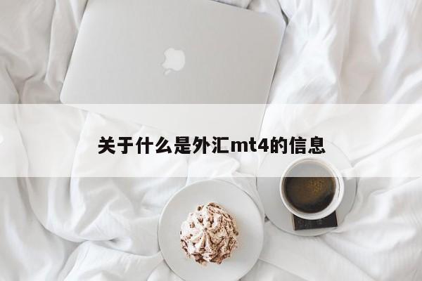 关于什么是外汇mt4的信息