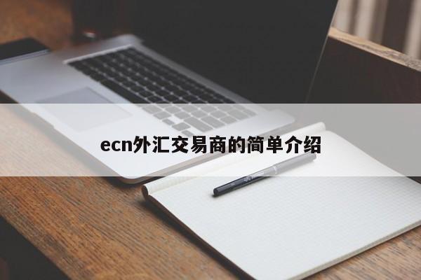 ecn外汇交易商的简单介绍