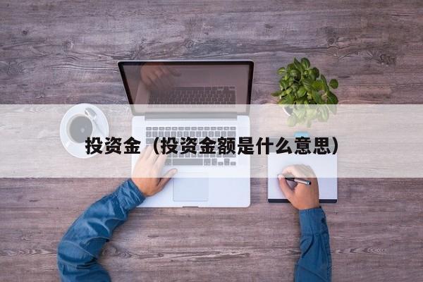 投资金（投资金额是什么意思）