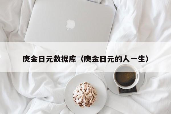 庚金日元数据库（庚金日元的人一生）