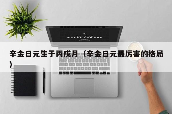 辛金日元生于丙戌月（辛金日元最厉害的格局）